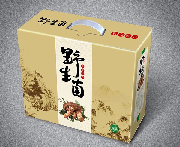 陝(shan)西包裝紙(zhǐ)箱生産