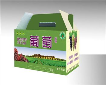 西藏包(bāo)裝紙箱